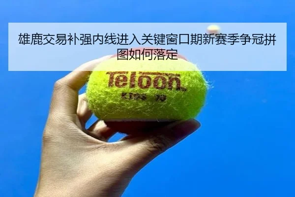 雄鹿交易补强内线进入关键窗口期新赛季争冠拼图如何落定